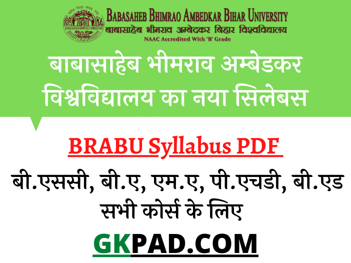 BRABU Syllabus 2023 In Hindi PDF - Muzaffarpur University